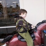 fred meyer horse 2013 2