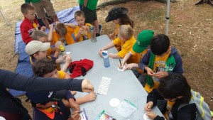 2015 cub day camp 01